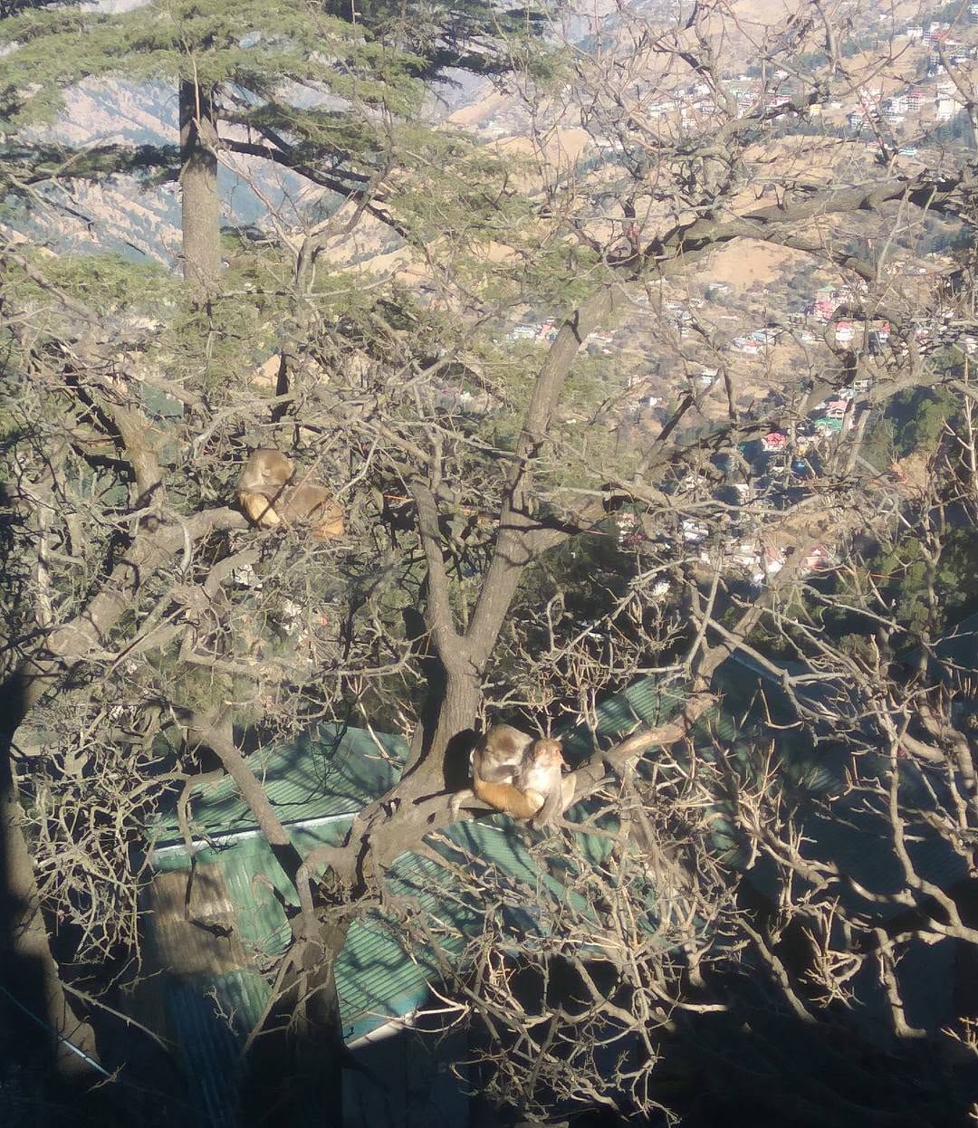 Post 4 by piya on Instagram (image)
