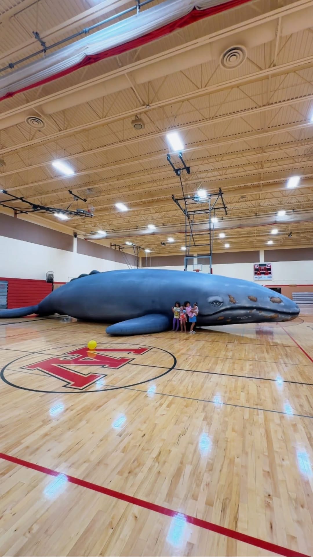 Post 4 by Emma Greenebaum on Instagram (video)