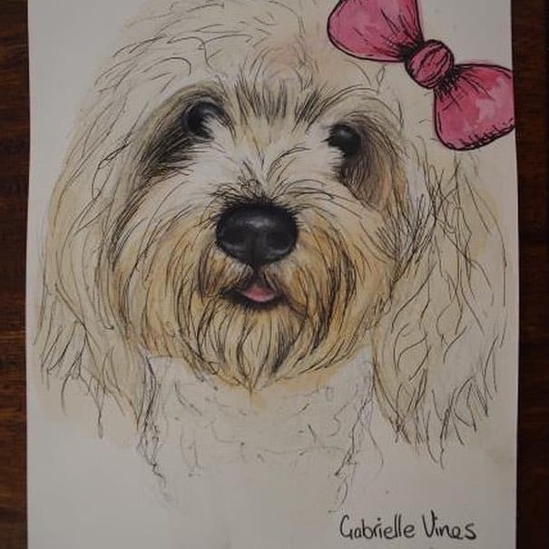 Post 8 by Coco The Cavoodle on Instagram (image)