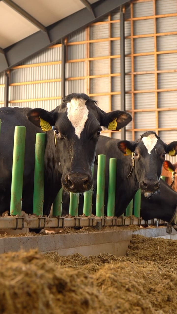Post 2 by Agri Farming on Instagram (video)