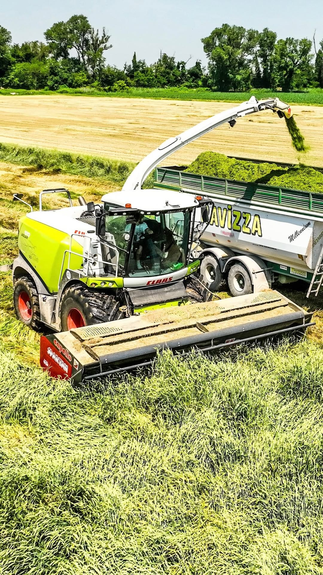 Post 3 by Agri Farming on Instagram (video)