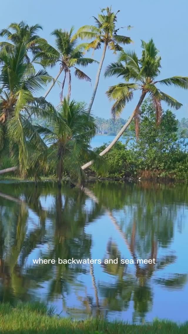 Post 8 by The Travel Planners on Instagram (video)