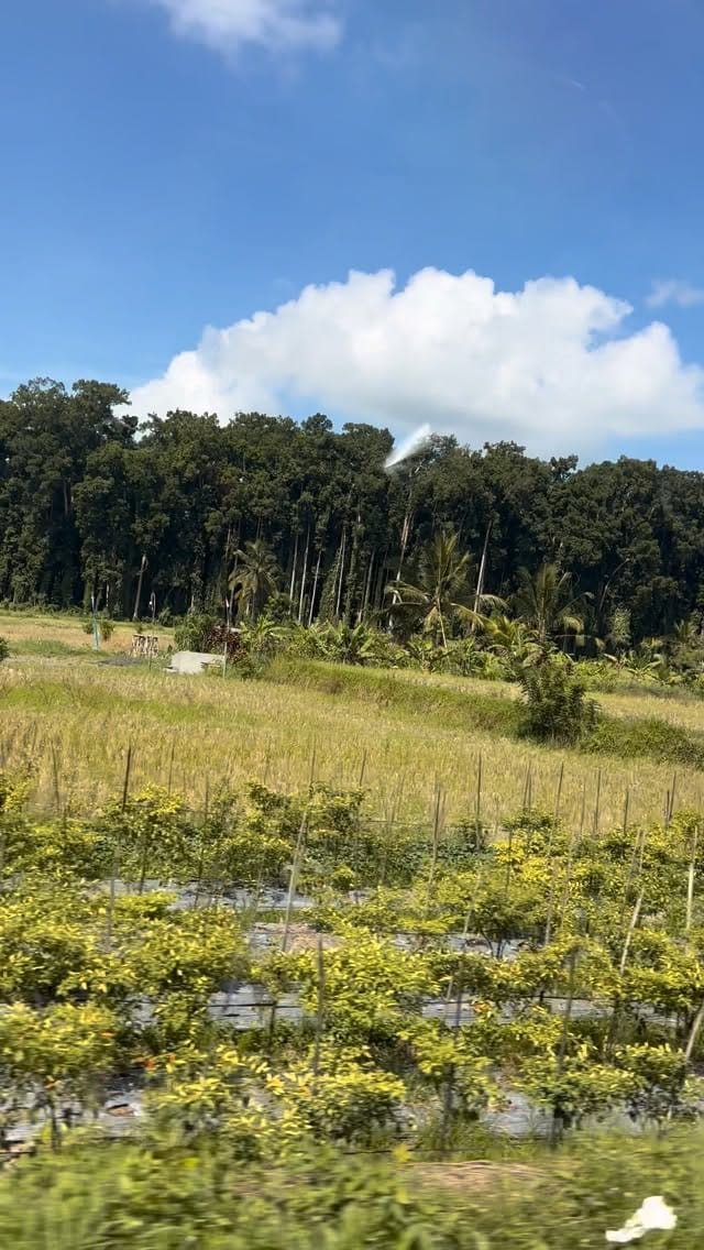 Post 2 by The Travel Planners on Instagram (video)