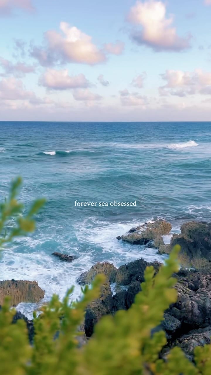 Post 5 by Itzel Garrido | Fotografía on Instagram (video)