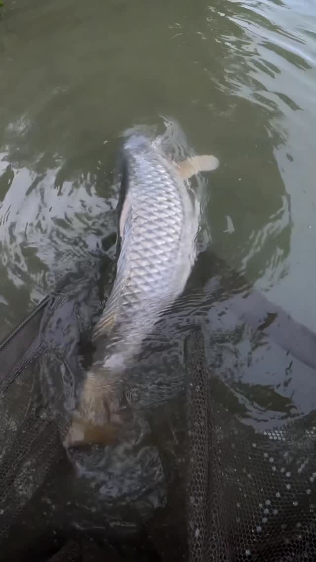 Post 6 by Filippo Bulla on Instagram (video)