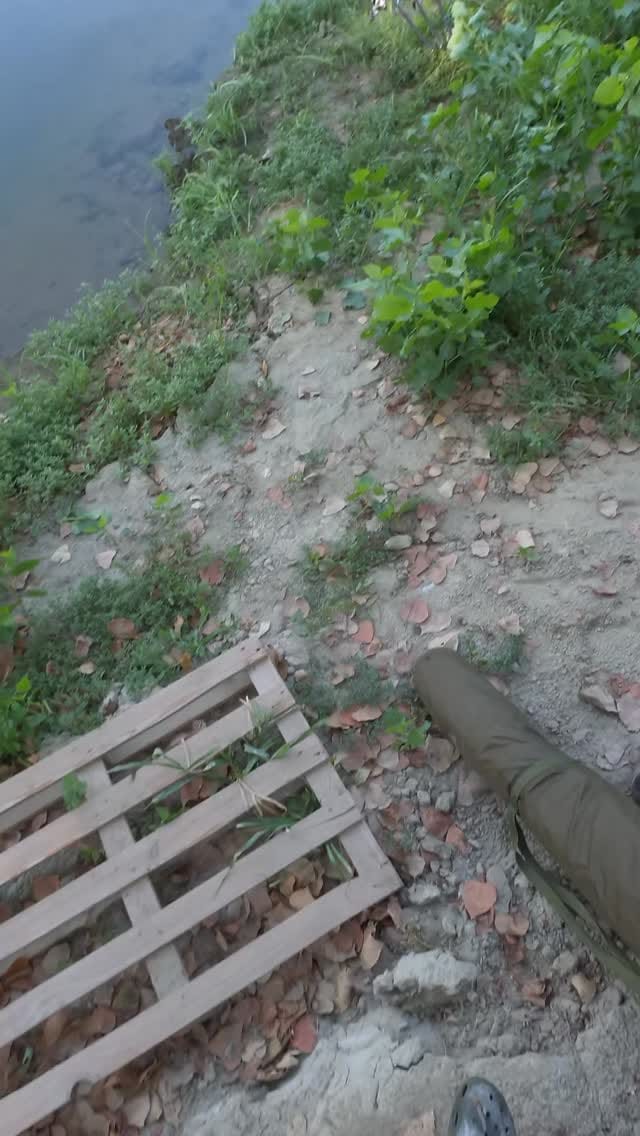 Post 1 by Filippo Bulla on Instagram (video)