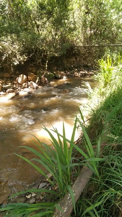 Post 2 by Pesca Salvaje on Instagram (video)