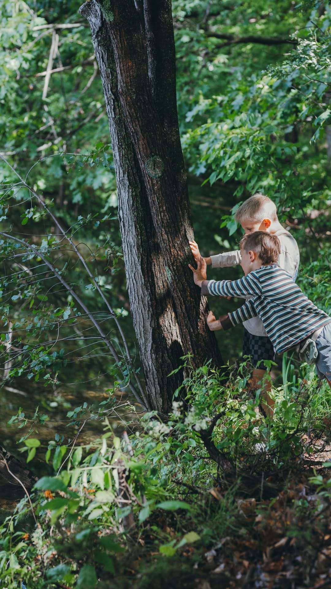 Post 8 by JULIE MALBOUEF | MICHIGAN on Instagram (video)