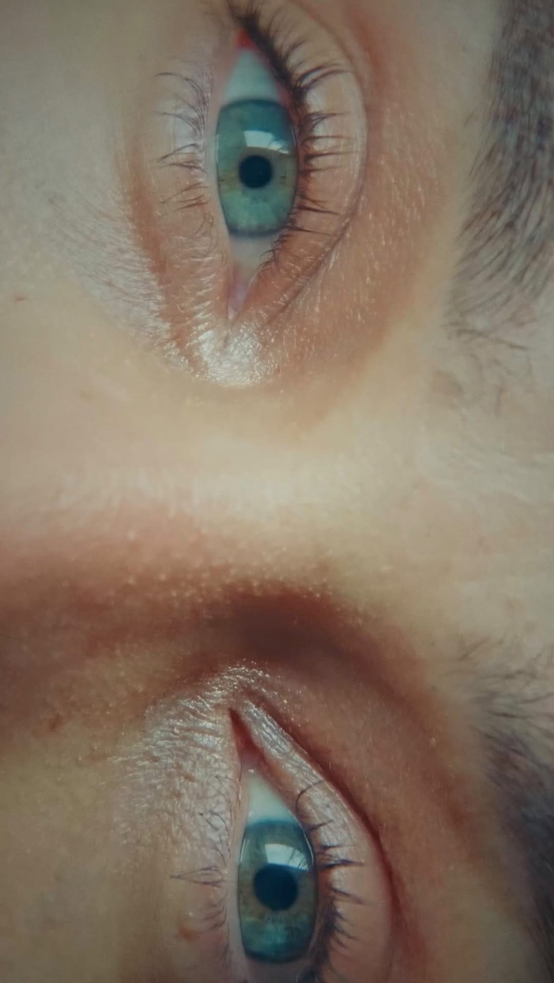 Post 4 by Giannina Michielin Roa on Instagram (video)