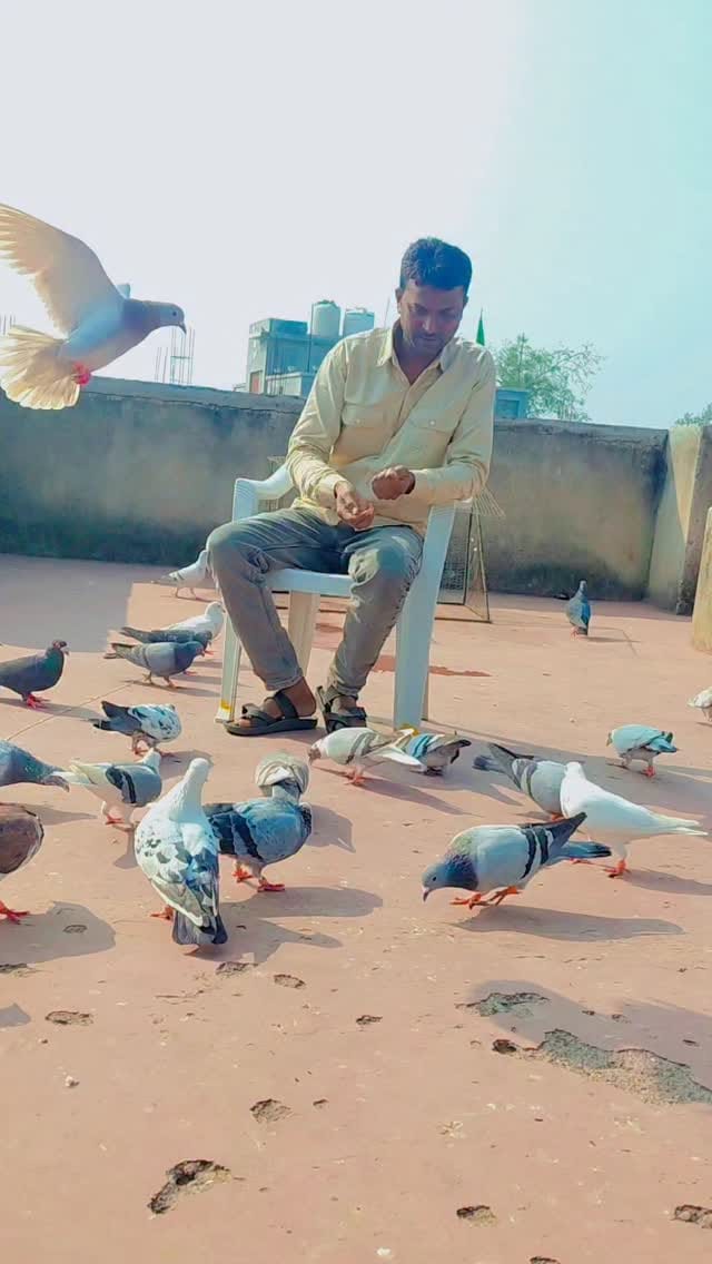 Post 4 by Shahid Lakhpati on Instagram (video)