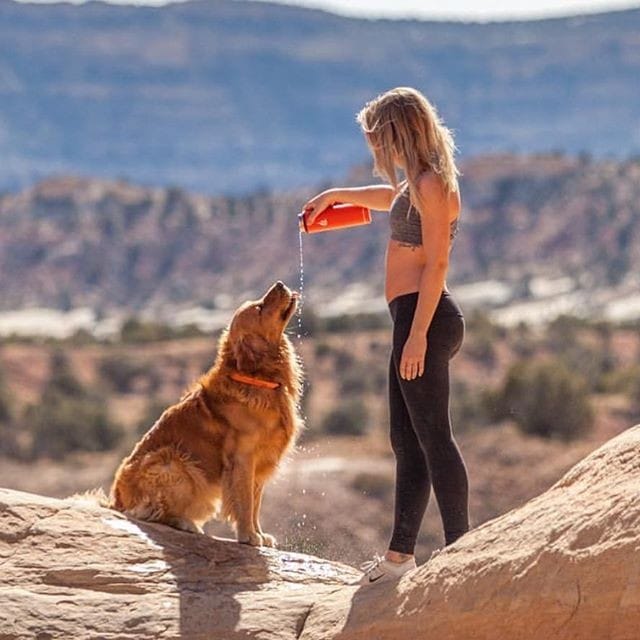 Post 7 by Trekking Paws on Instagram (image)