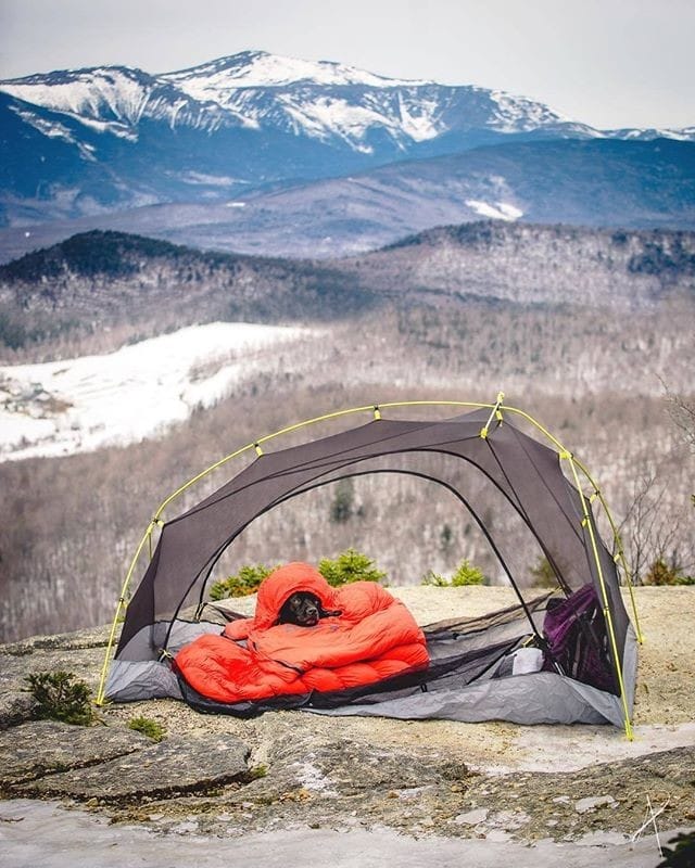 Post 8 by Trekking Paws on Instagram (image)