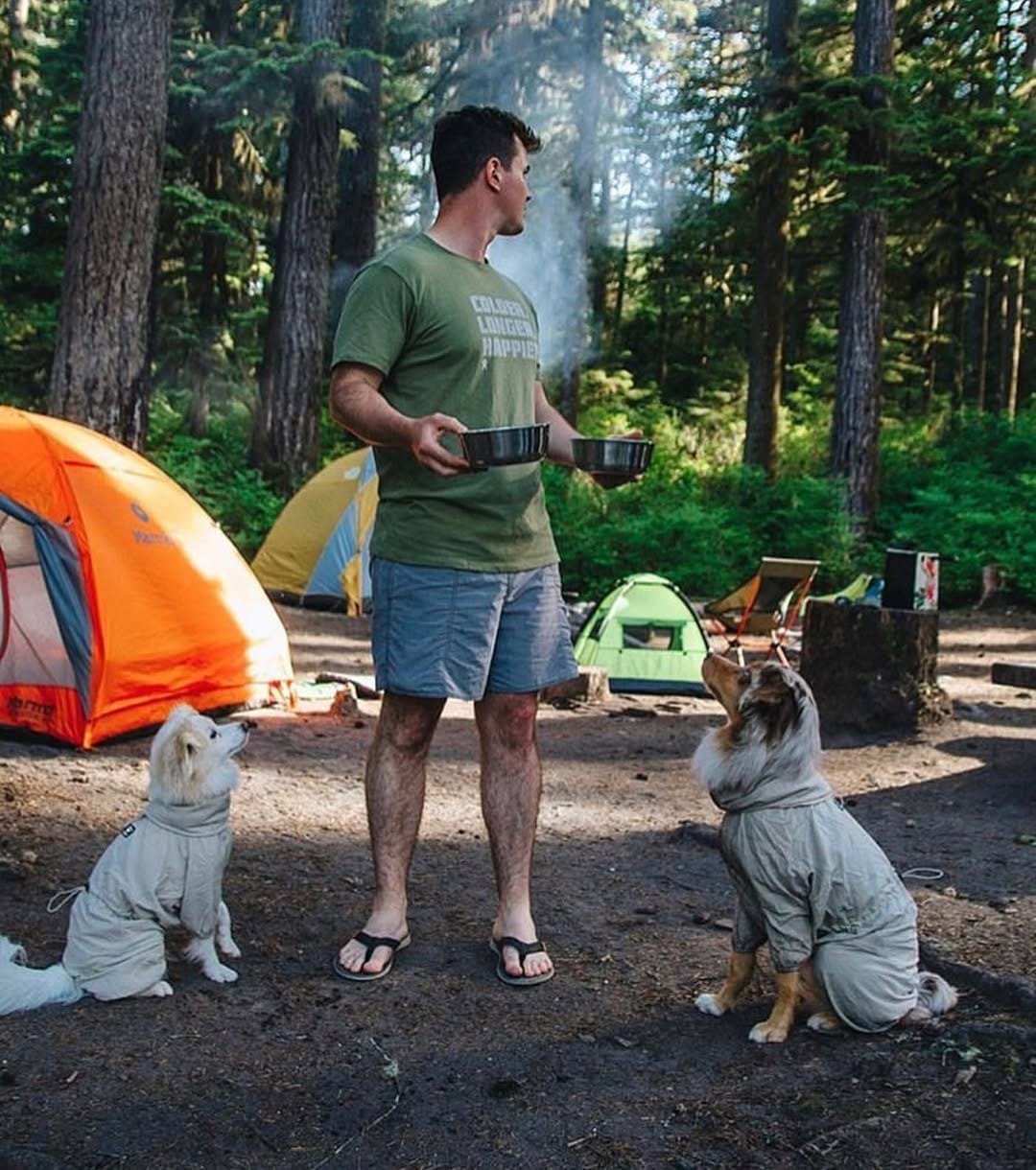Post 2 by Trekking Paws on Instagram (image)