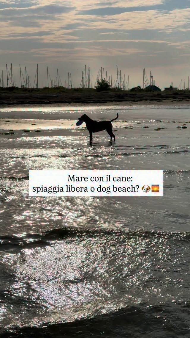 Post 1 by Maria Giugliano | Cosa fare a Udine on Instagram (video)