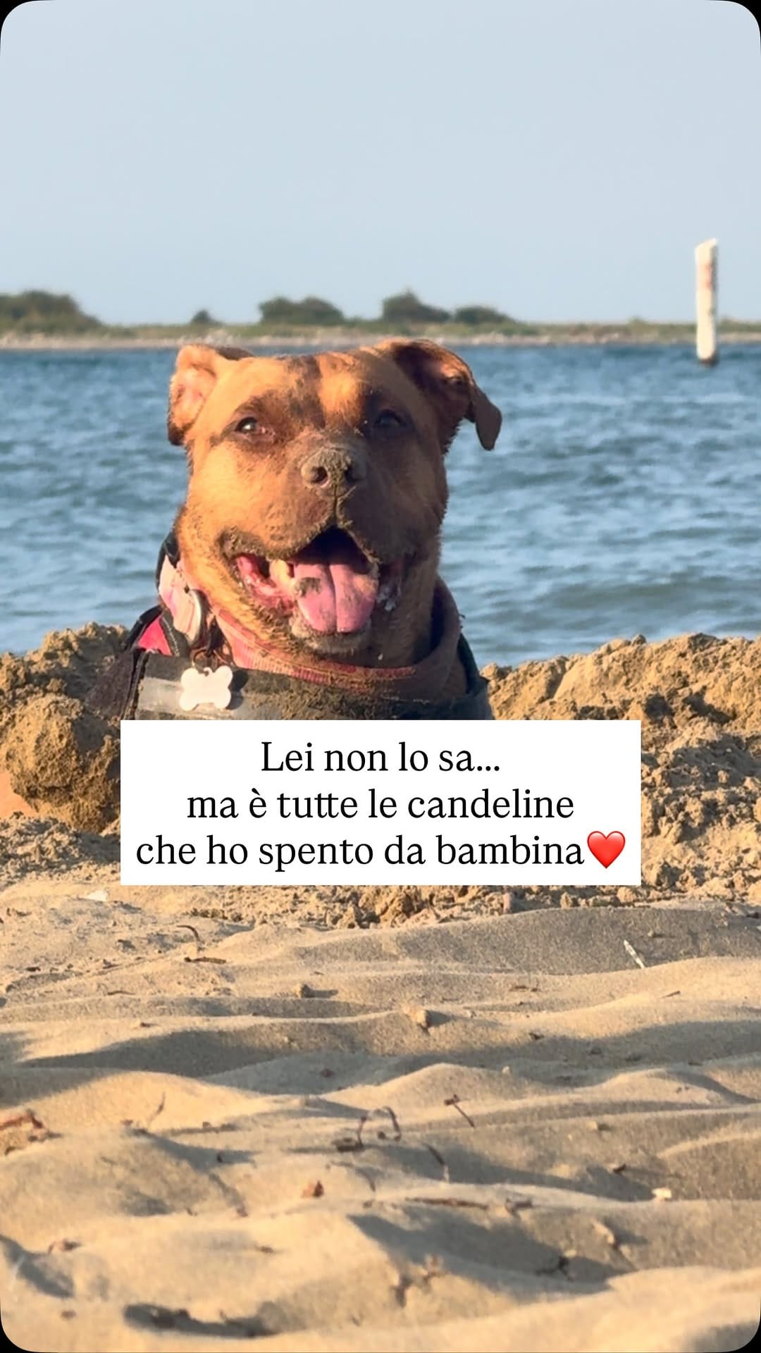 Post 4 by Maria Giugliano | Cosa fare a Udine on Instagram (video)
