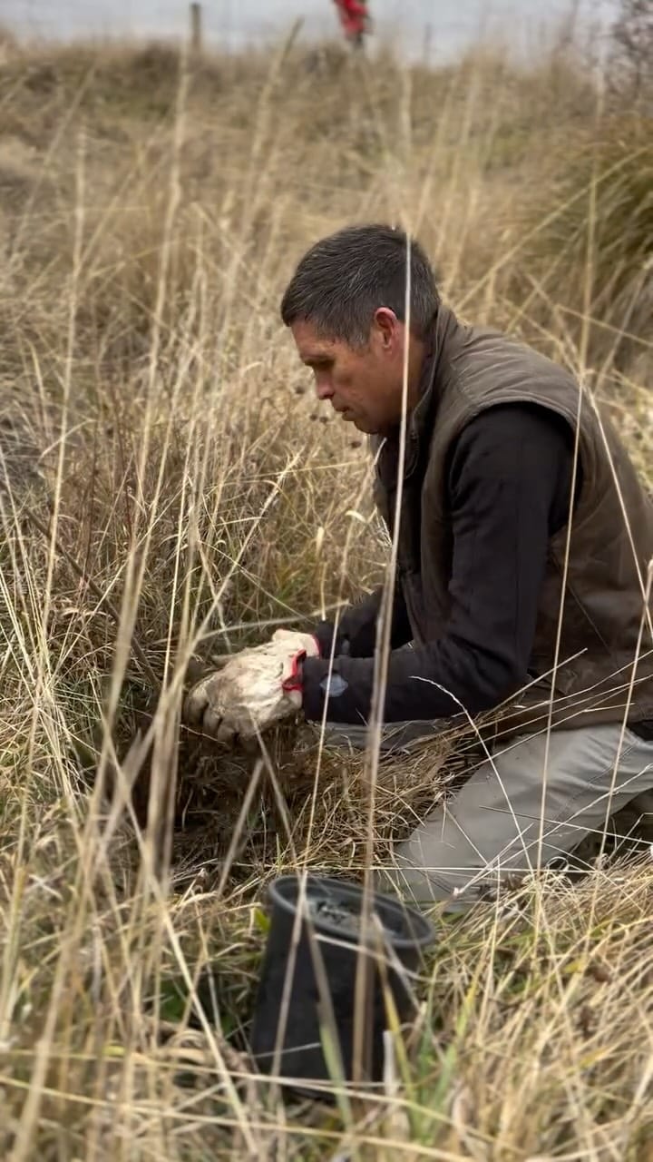 Post 1 by Middlehurst Station Farm Store on Instagram (video)