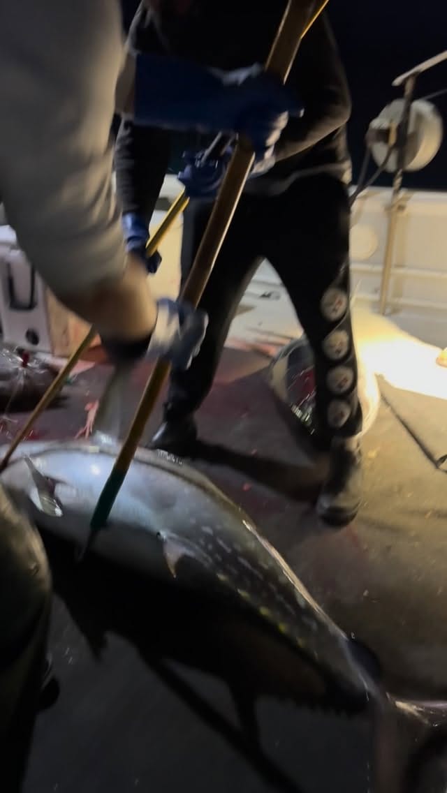 Post 5 by Capt. Robert Douglas on Instagram (video)