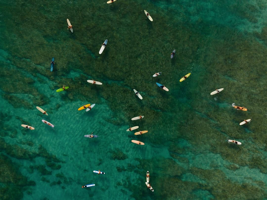 Post 5 by naples florida photographer on Instagram (image)