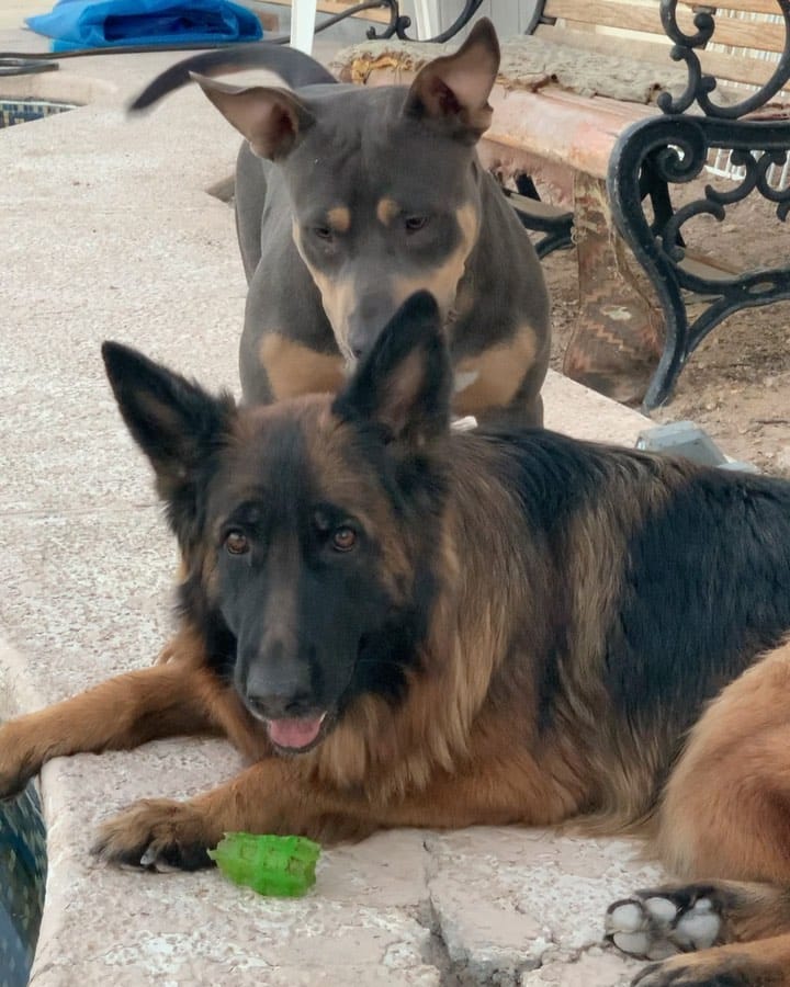 Post 10 by Amnesia🔮 & Luna 🌕 on Instagram (video)