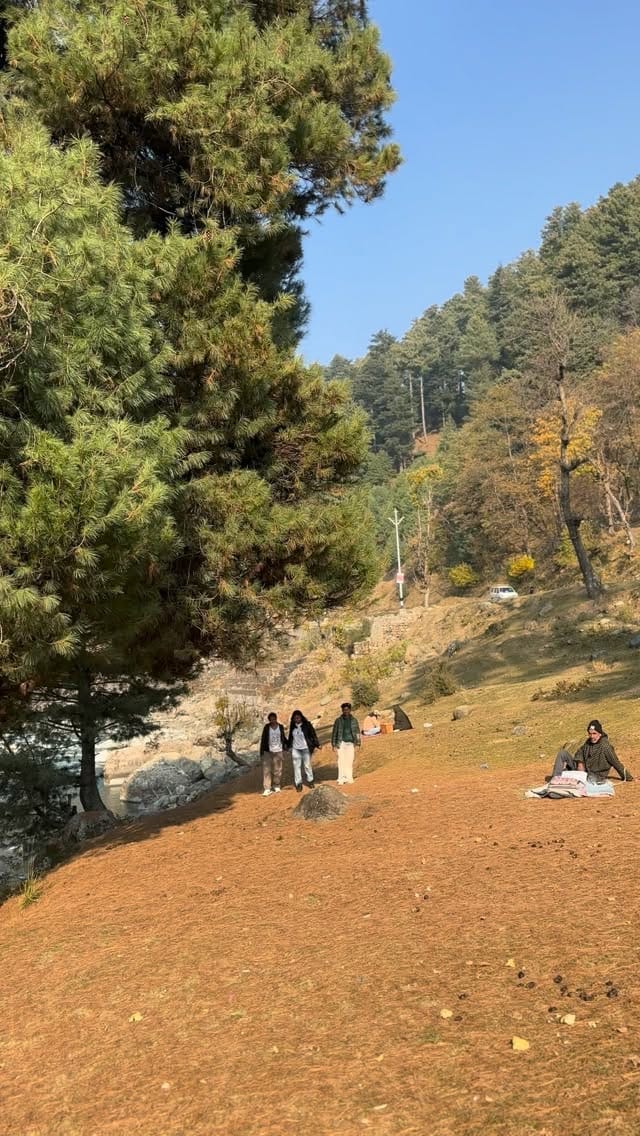 Post 3 by Sushree Dibyadarshini on Instagram (video)