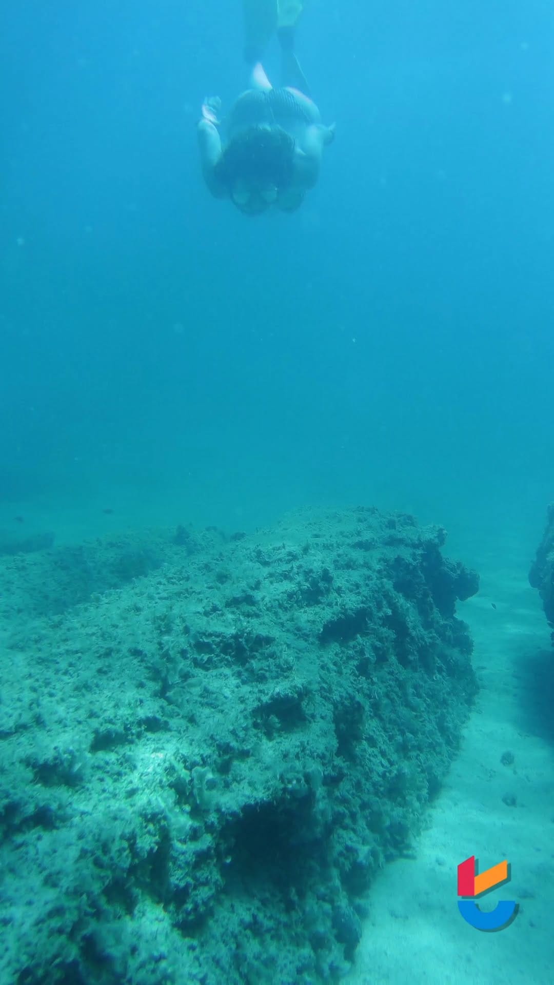 Post 4 by | Francesca Cancilla | on Instagram (video)