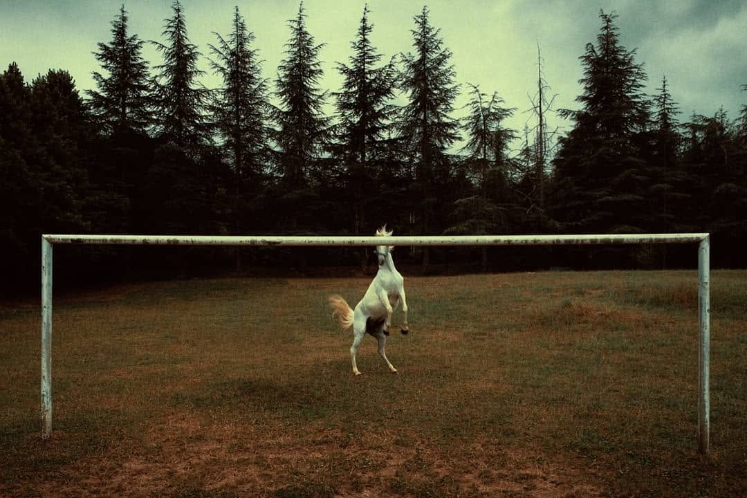 Post 7 by francesco saverio lopazio on Instagram (image)
