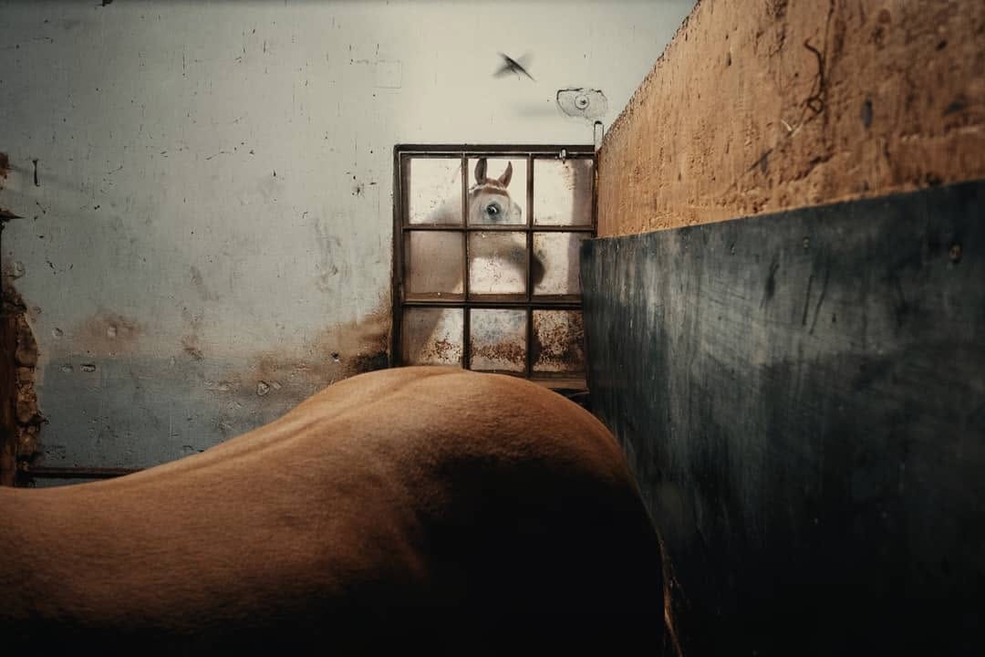 Post 10 by francesco saverio lopazio on Instagram (image)
