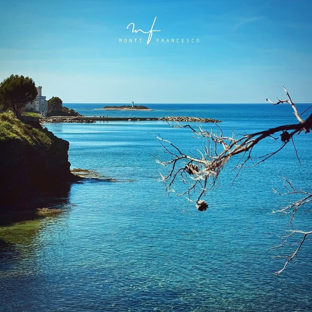 Post 9 by Francesco Monti on Instagram (image)