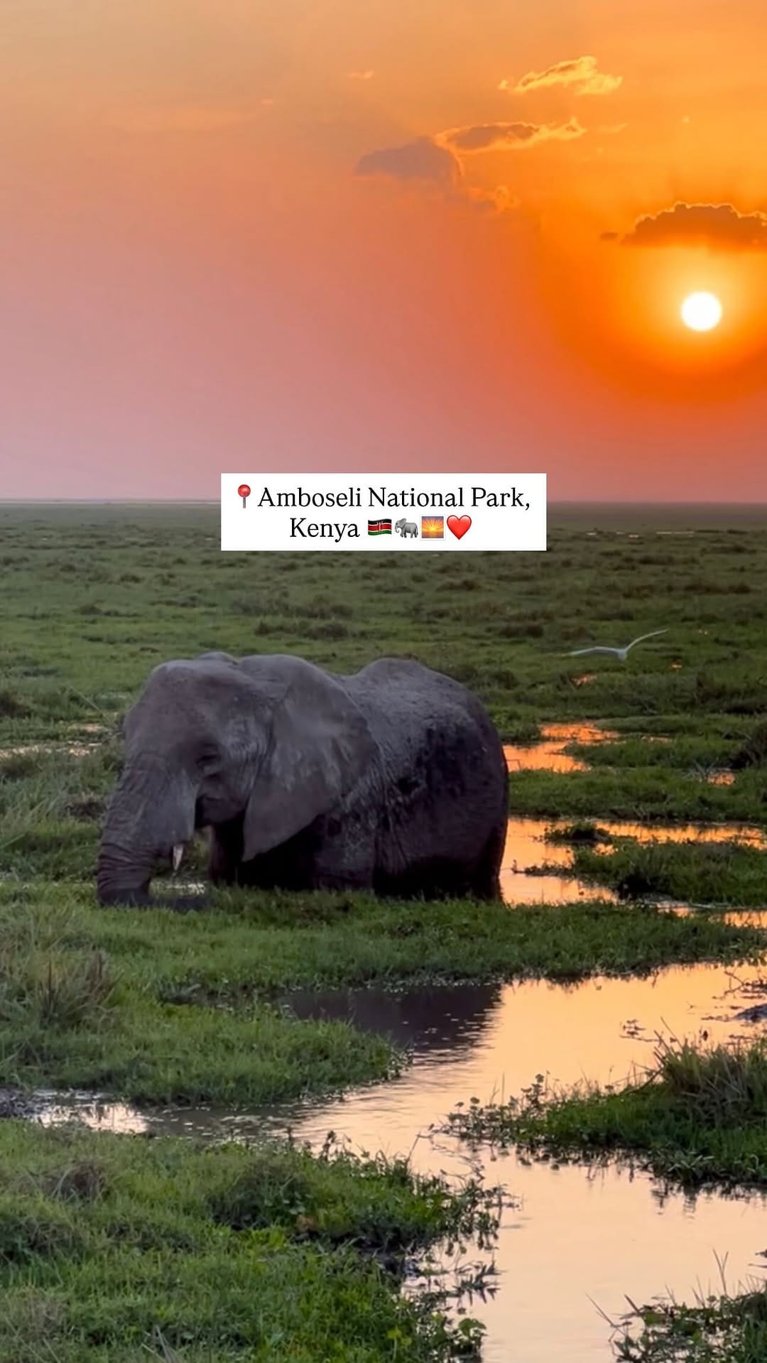 Post 8 by Kenyanviews 🌍🇰🇪 on Instagram (video)
