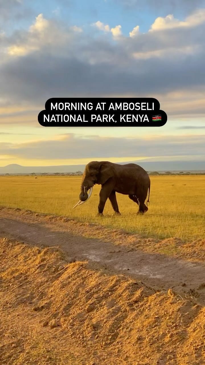 Post 10 by Kenyanviews 🌍🇰🇪 on Instagram (video)