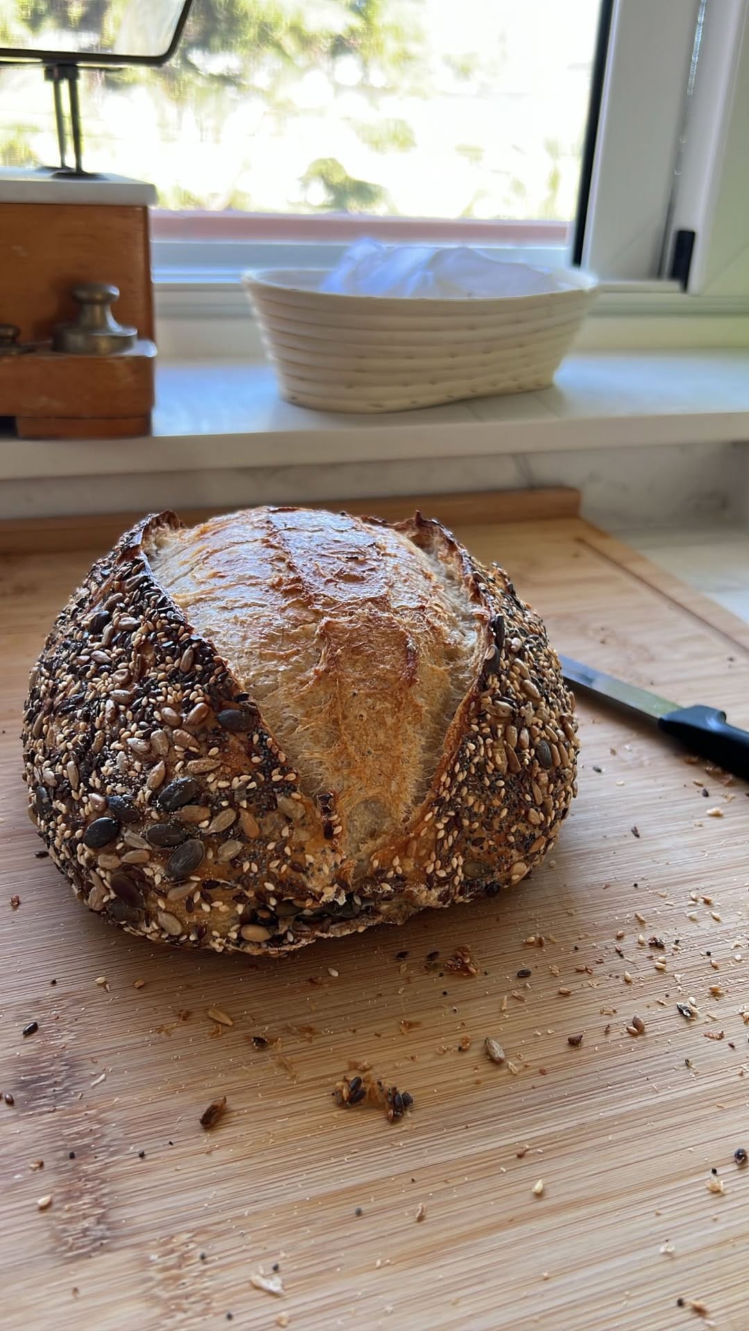 Post 2 by 𝙴𝚕𝚒𝚜𝚊 𝚁𝚞𝚜𝚜𝚘 on Instagram (video)