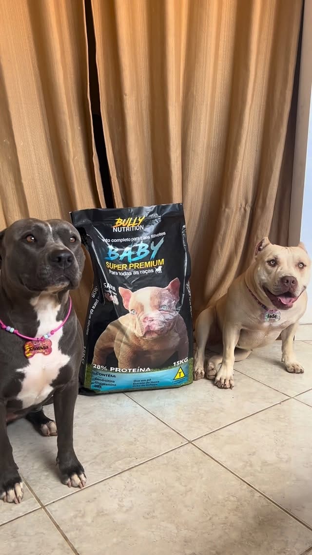 Post 9 by 𝐏𝐄𝐓 𝐈𝐍𝐅𝐋𝐔𝐄𝐍𝐂𝐄𝐑 | 𝐑𝐀𝐕𝐄𝐍𝐍𝐀 𝐄 𝐉𝐀𝐃𝐄 🍭 on Instagram (video)
