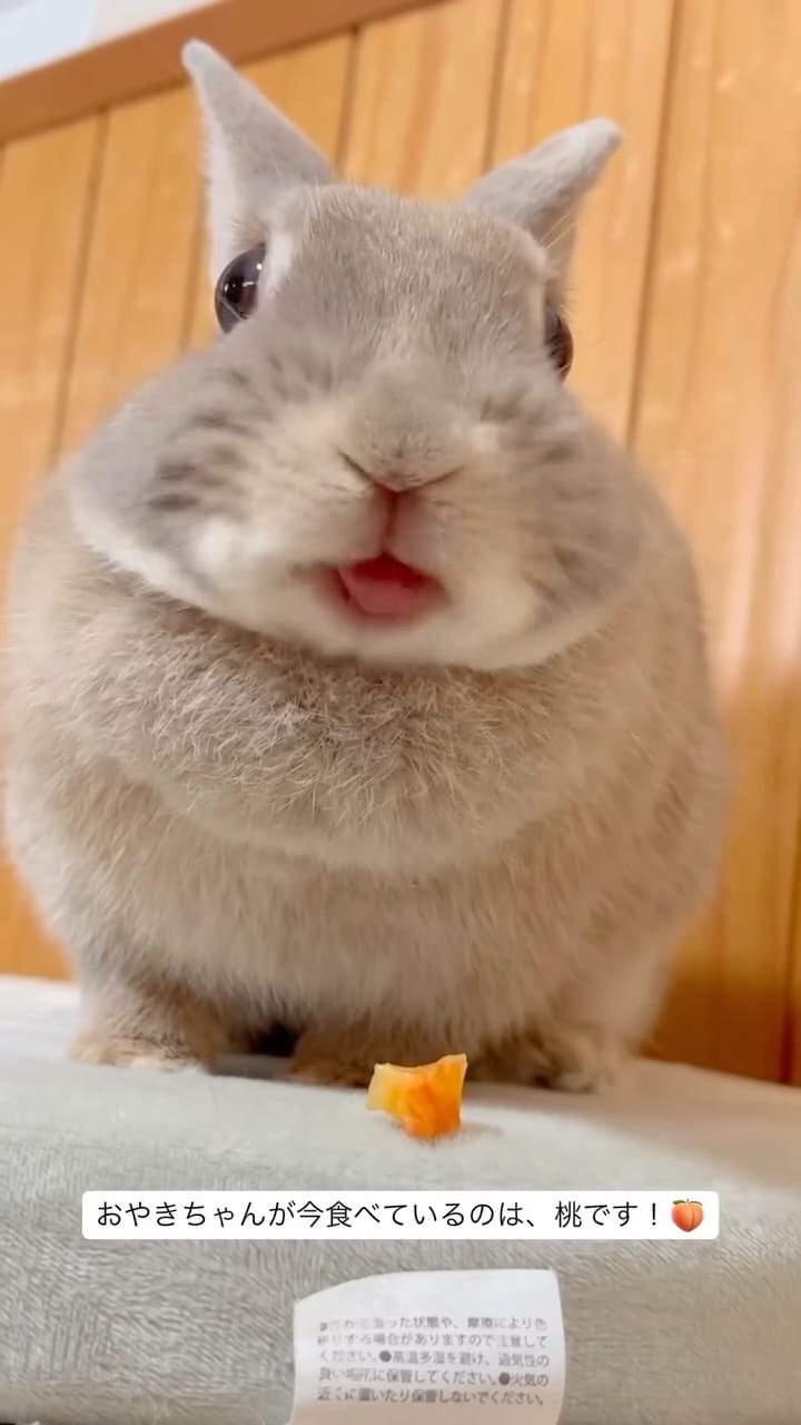Post 2 by ひなたくん/Hinata on Instagram (video)