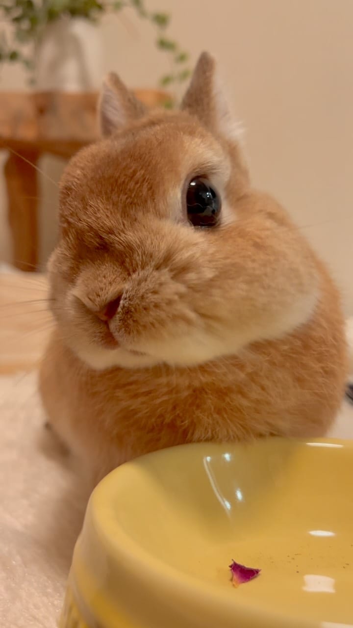 Post 3 by ひなたくん/Hinata on Instagram (video)