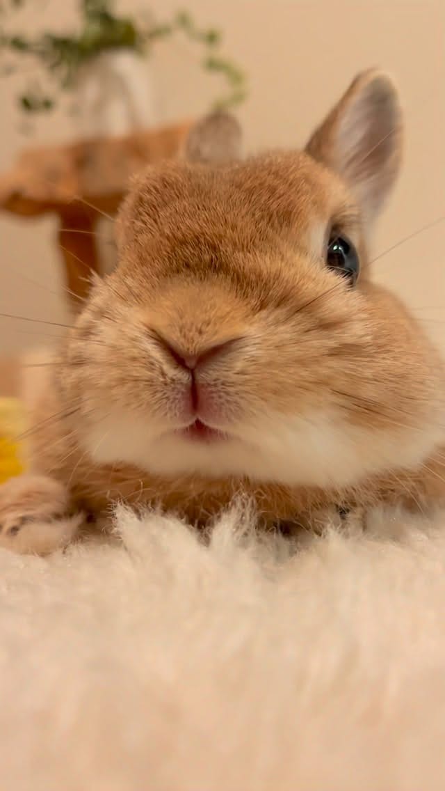 Post 6 by ひなたくん/Hinata on Instagram (video)