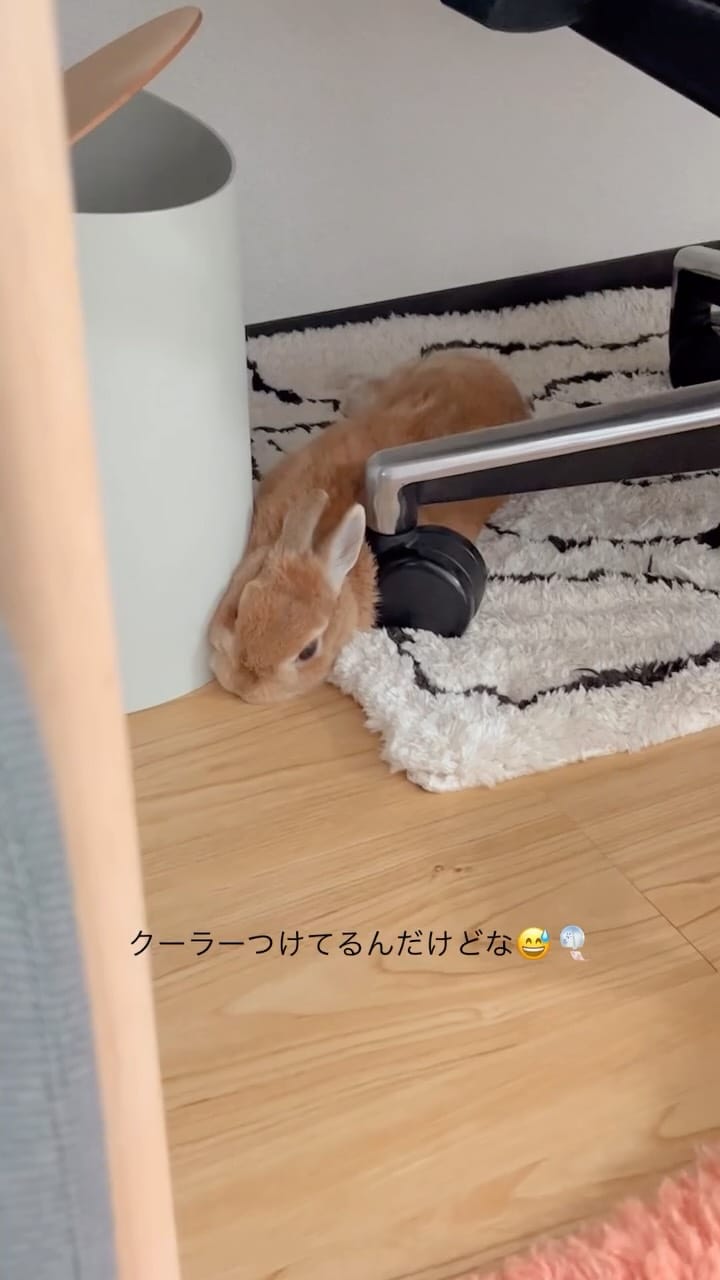 Post 5 by ひなたくん/Hinata on Instagram (video)