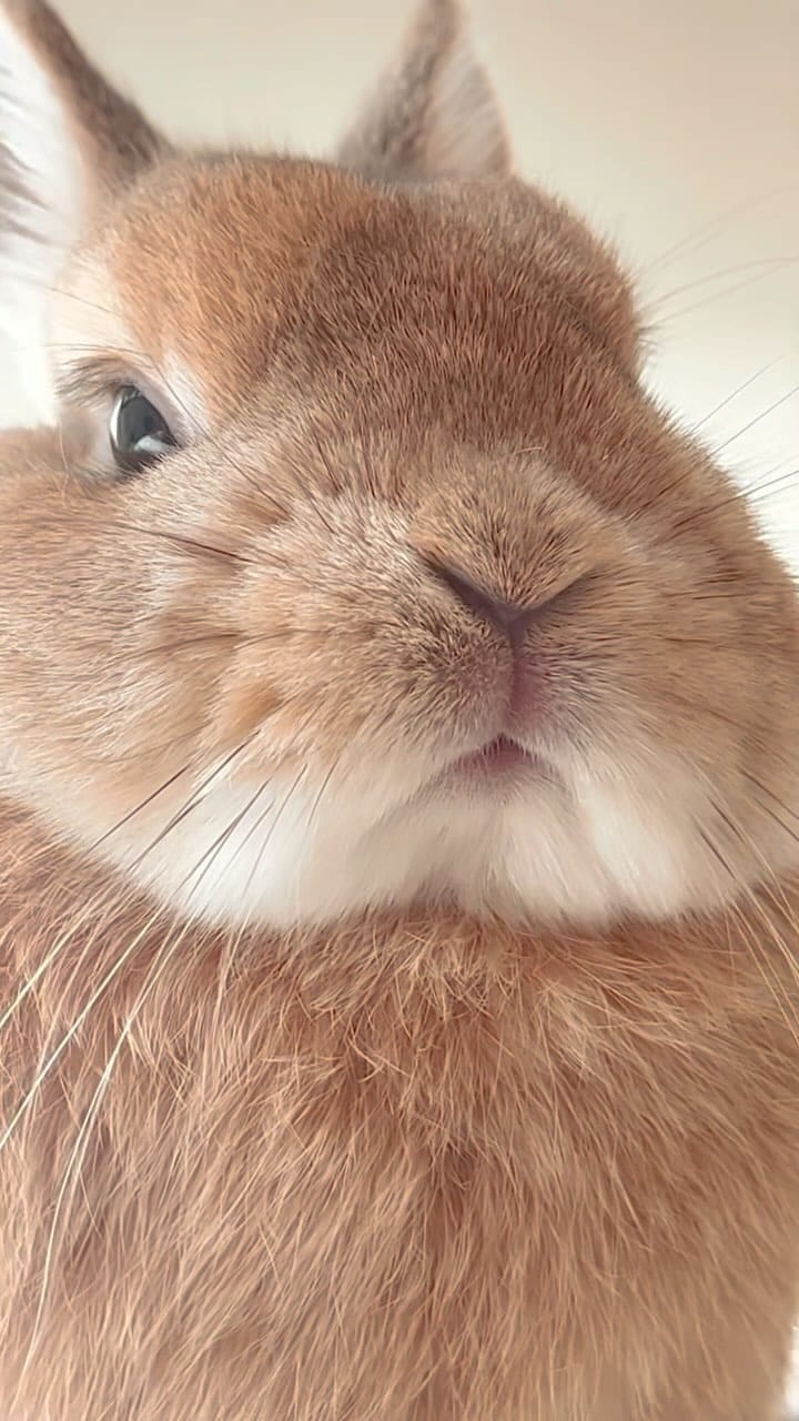Post 10 by ひなたくん/Hinata on Instagram (video)