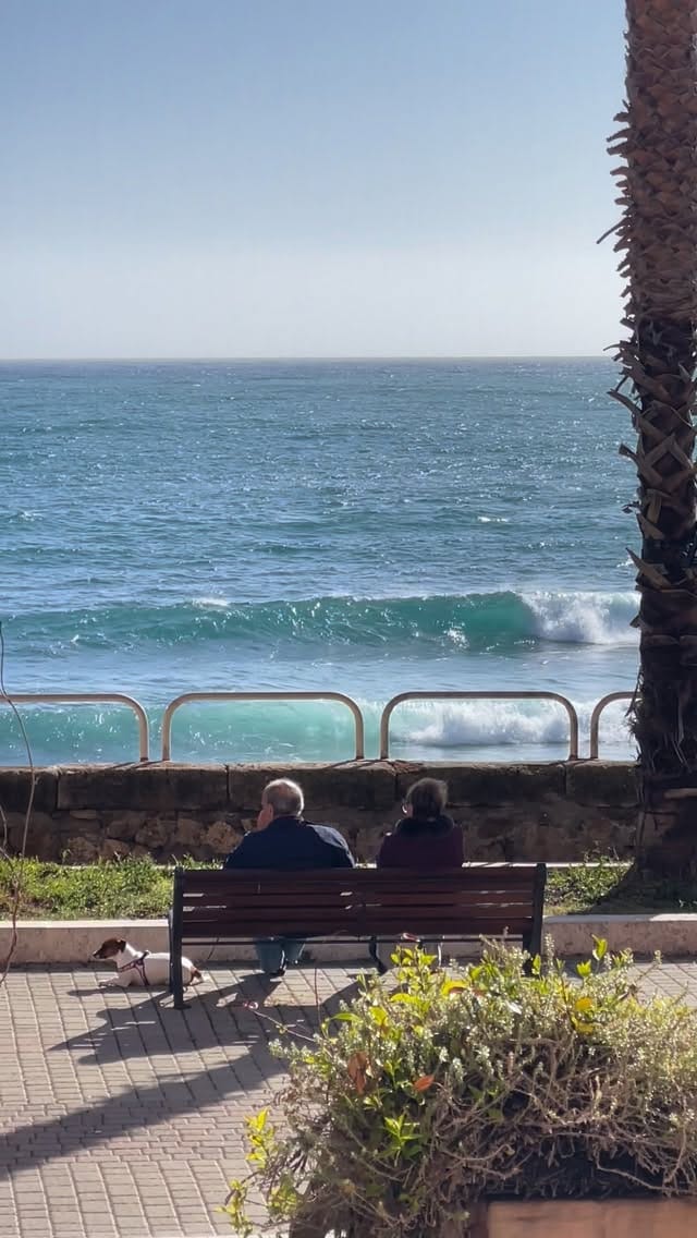 Post 5 by Cristina Hincu on Instagram (video)