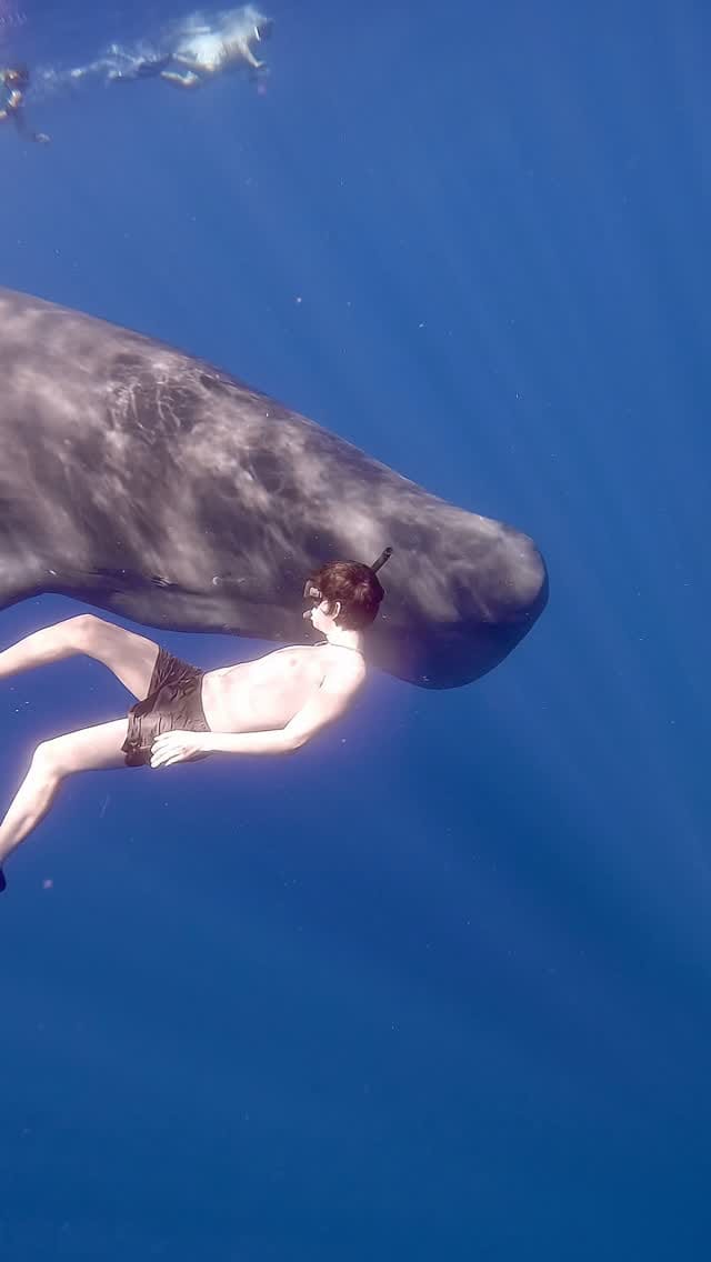 Post 1 by Martín Tena on Instagram (video)
