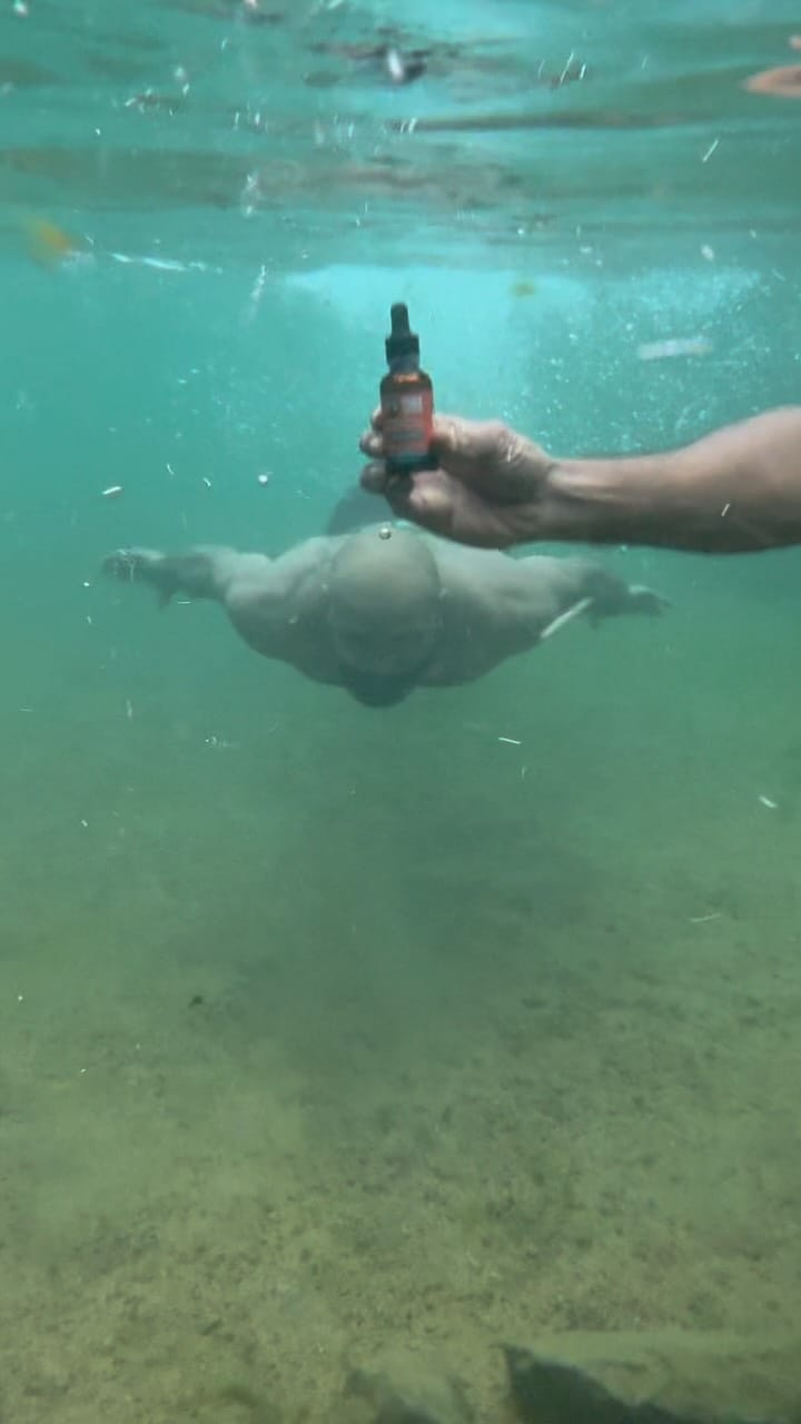 Post 4 by Grow The Funguy on Instagram (video)