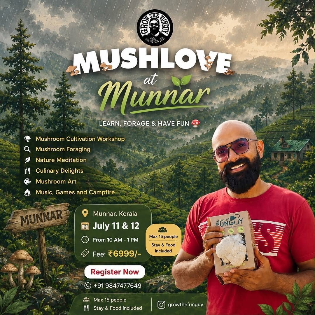Post 3 by Grow The Funguy on Instagram (image)