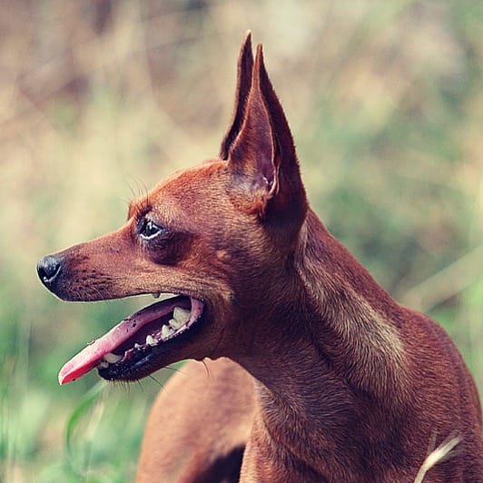 Post 8 by Albano Nicola Fotografia on Instagram (image)