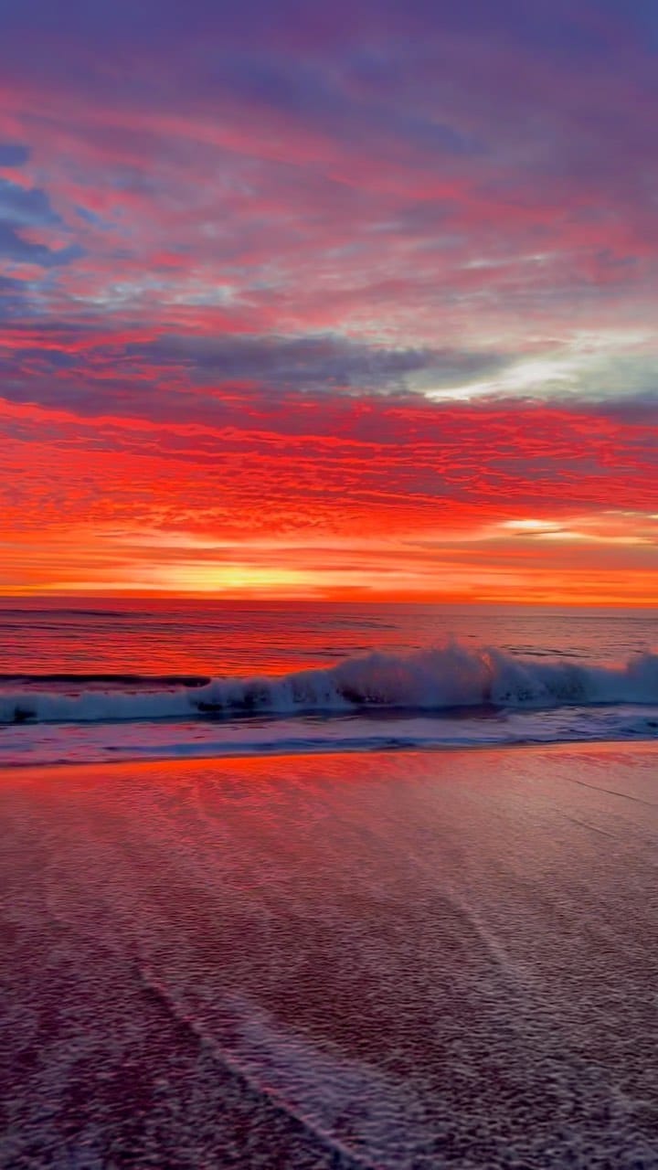 Post 8 by Nhan Nguyen | Virginia Beach on Instagram (video)