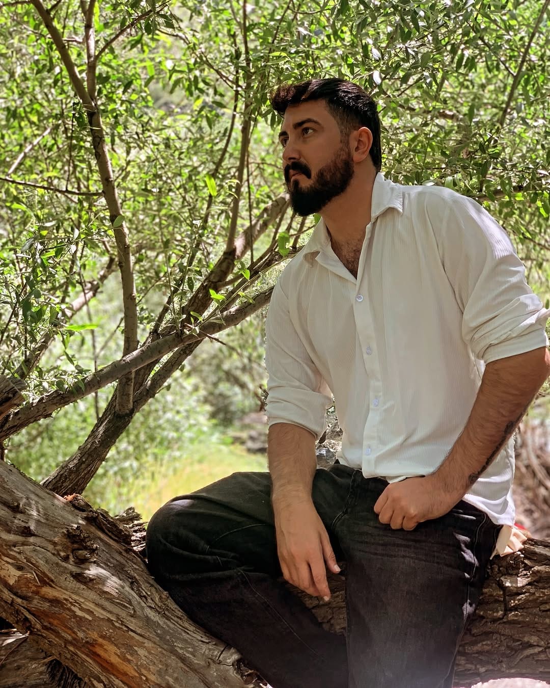 Post 6 by Shahin Milan | شاهین میلان on Instagram (image)