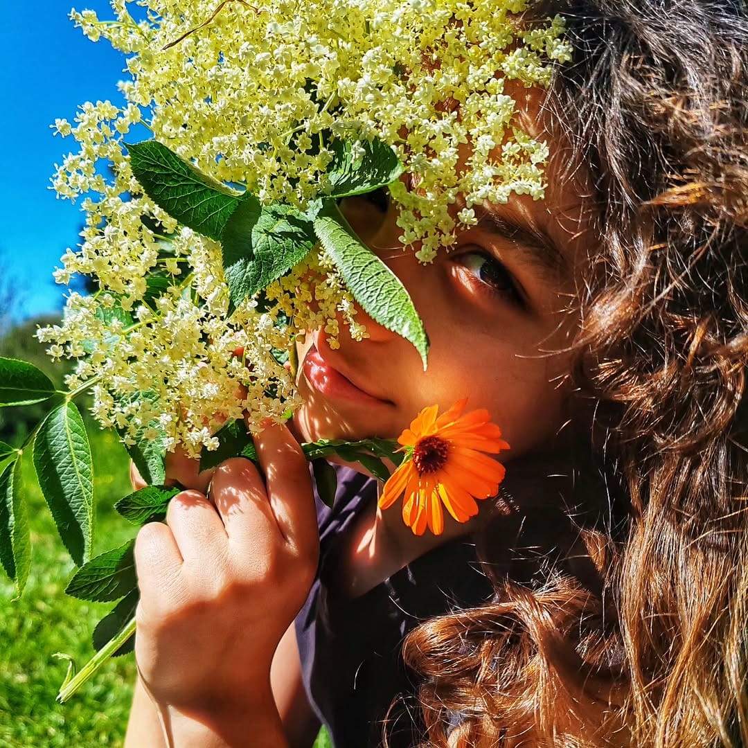 Post 8 by MiJa prirodni med, sapuni i kozmetika 🌼sa Kosmaja on Instagram (image)