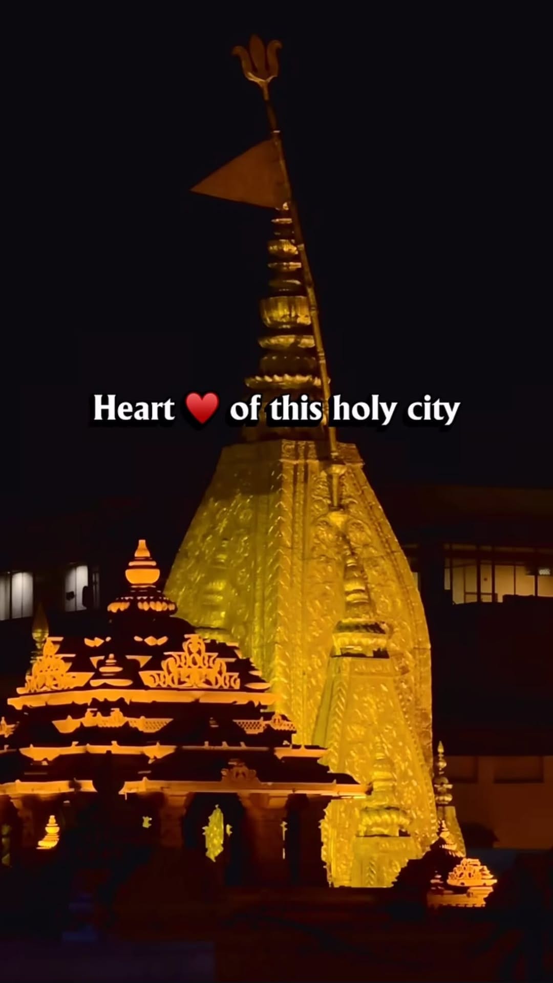 Post 5 by Tanisha Goyal on Instagram (video)