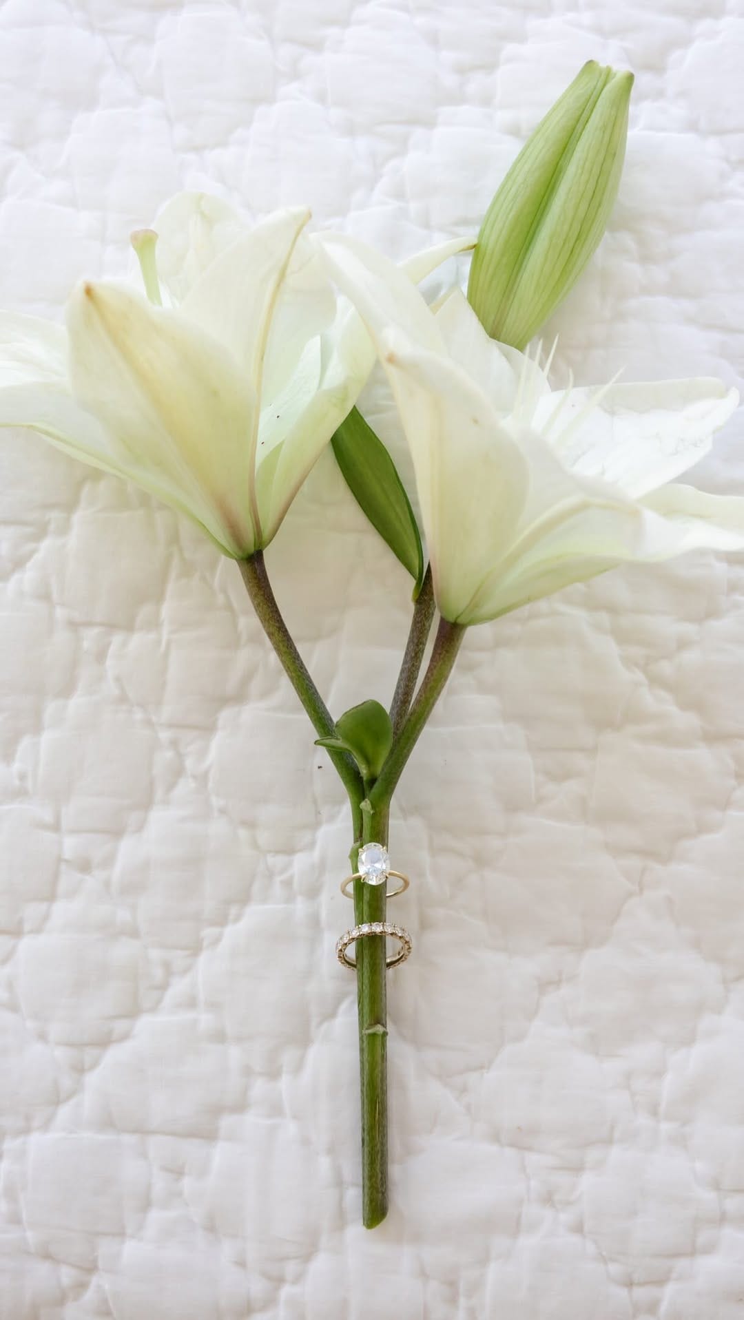 Post 3 by Paige Lutz | Indiana + Destination Wedding Photographer on Instagram (video)