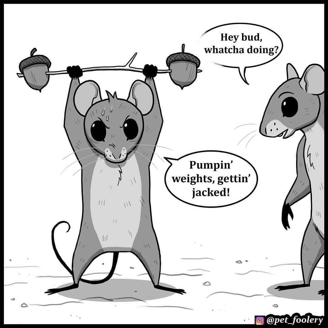 Post 6 by The Little Comic Universe on Instagram (carousel)