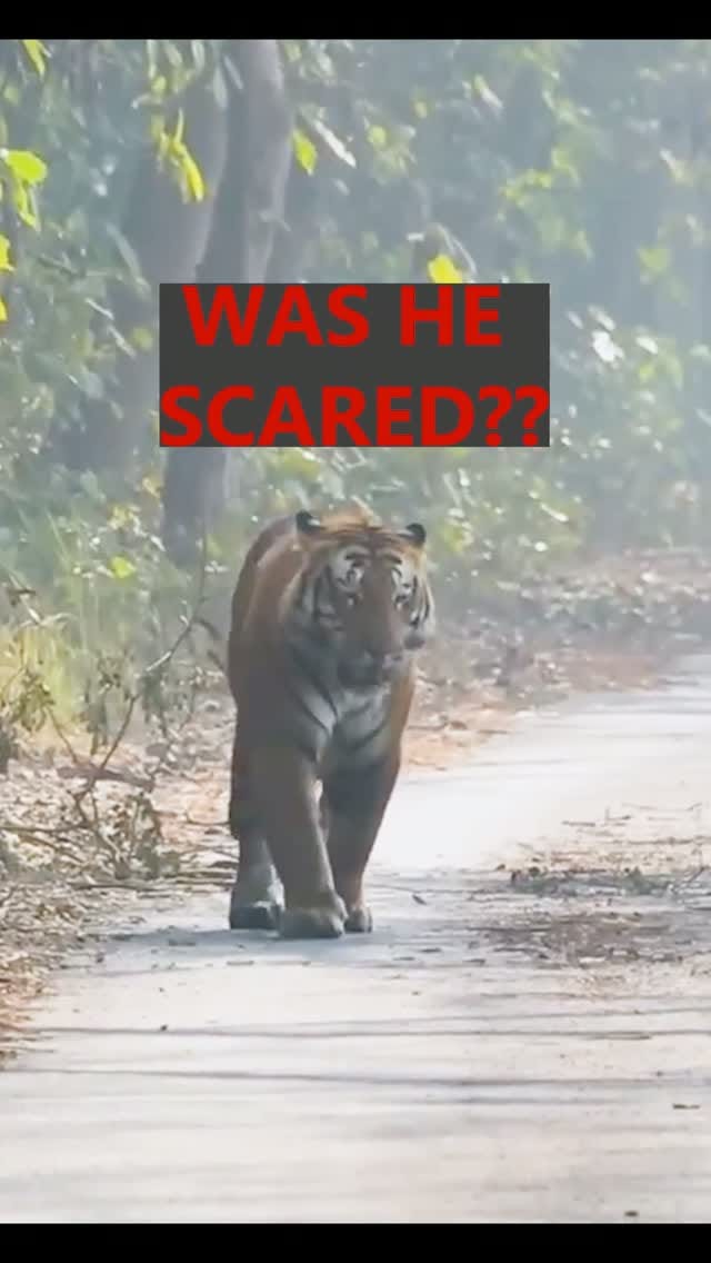 Post 9 by Hitesh Chawla on Instagram (video)