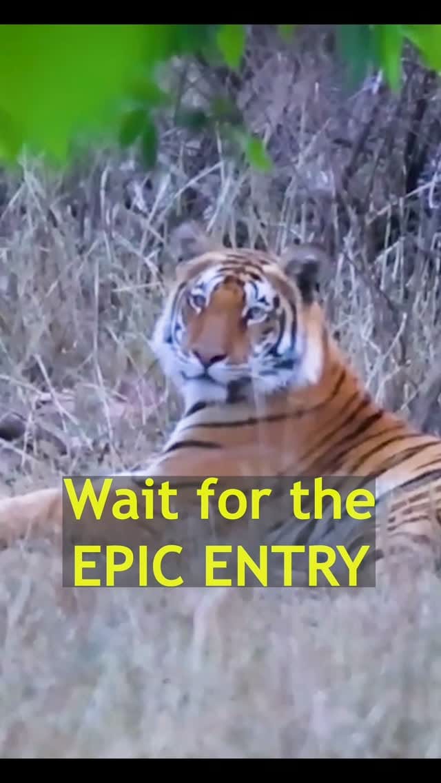 Post 10 by Hitesh Chawla on Instagram (video)